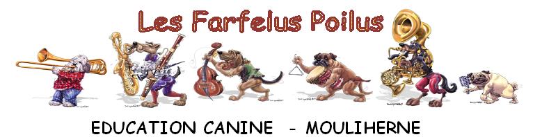 farfelus poilus